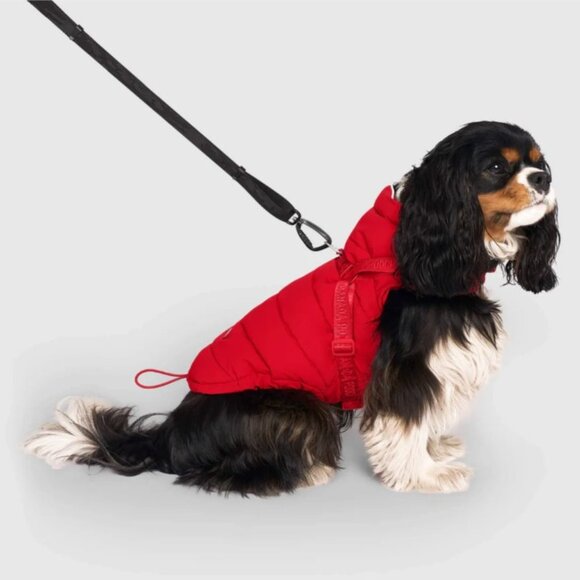 NWOT Canada Pooch Dog Harness Puffer 20” - 33-40lbs - Red - Picture 3 of 15